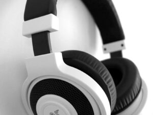 ultimate-soundzz-headset-with-extra-muffs