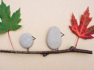 Personal Pet Rocks (Family Edition) - Outdoor Series