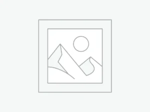 carplay-11-6-android-13-0